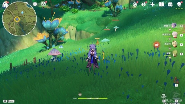 原神谒颂幽境枝在哪 森林书兰那罗的世界任务流程