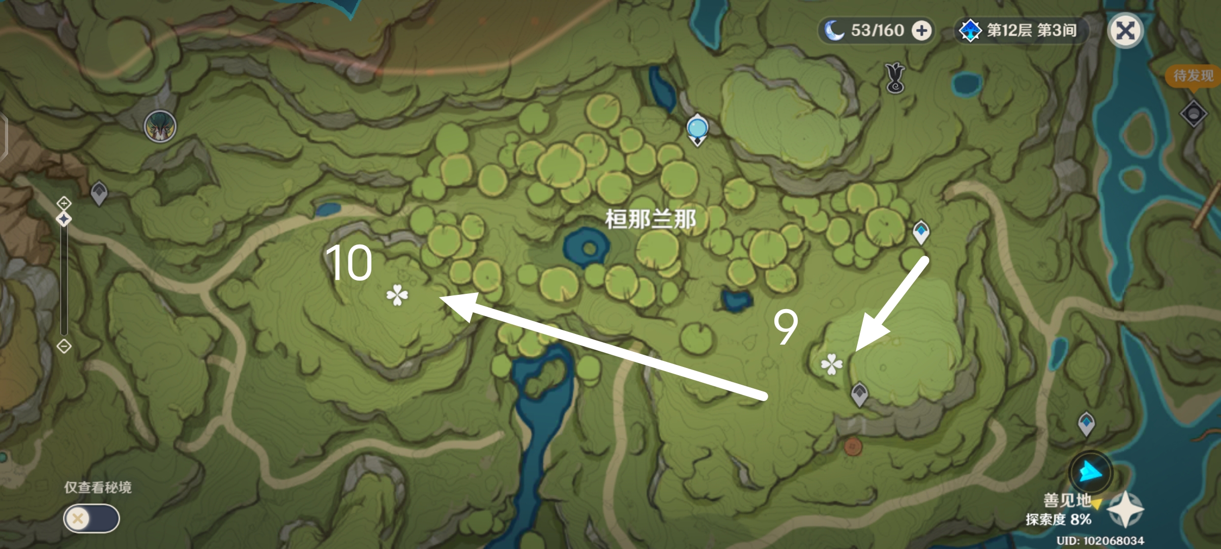 原神水天供书苗圃在哪5