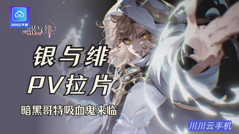 银与绯跨服战国家队搭配思路：T0角色组合与技能循环优先级解析