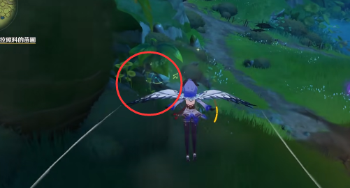 原神新蓓萌生在哪接4