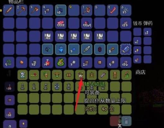 找到俾格米项链选项，点击购买