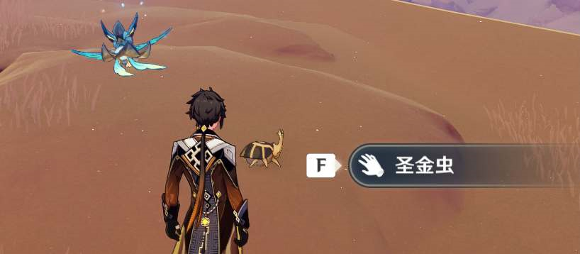 原神圣金虫有多少 3.1版本圣金虫在哪位置分布图