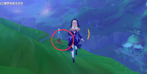 原神兰利遮在哪里7（1）