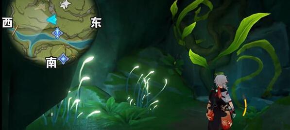 原神茸蕈窟神瞳怎么拿5