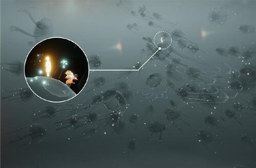 光遇破晓季水母图小金人位置 水母图小金人为什么没有